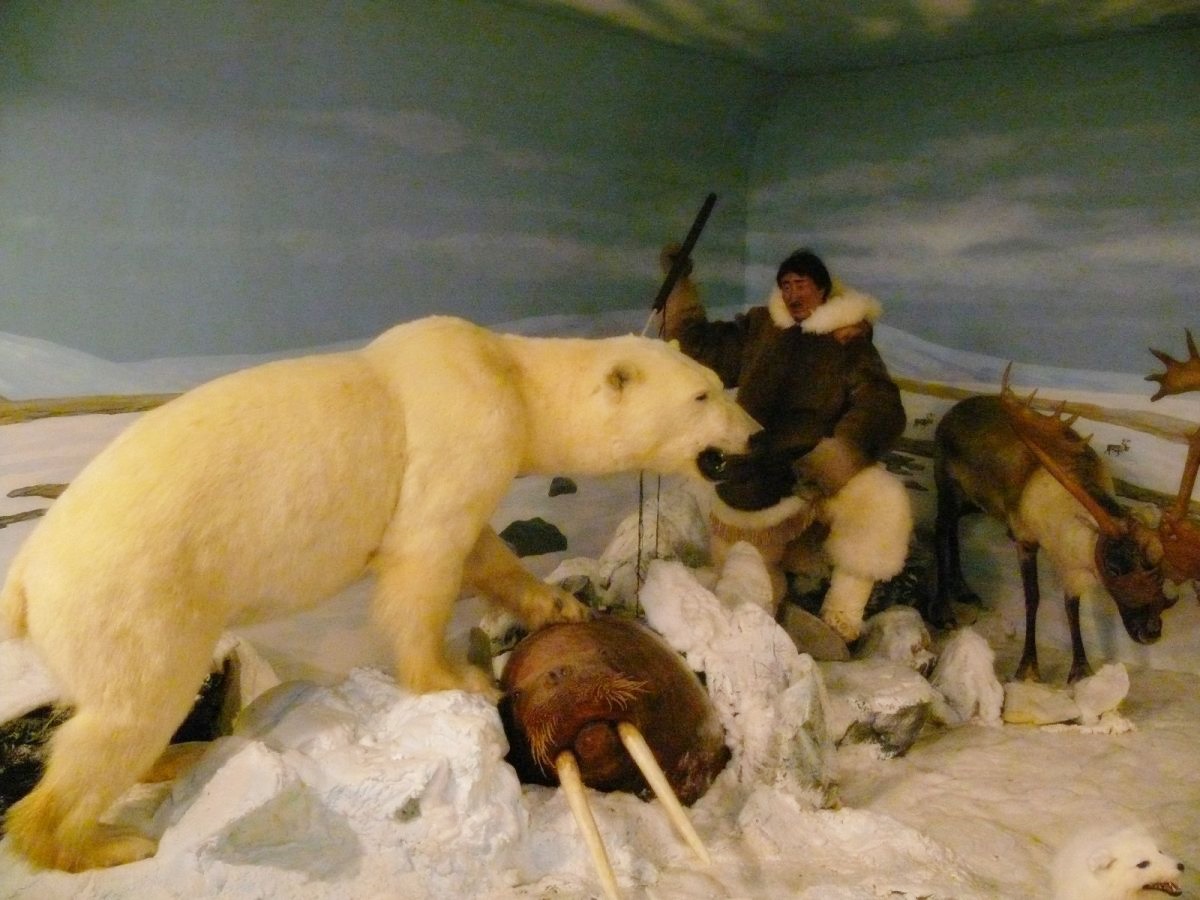 Keszthely, vadászati múzeum