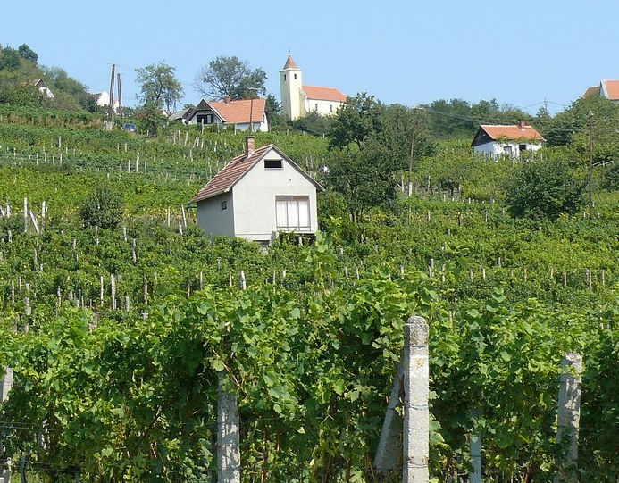 Somló hegy